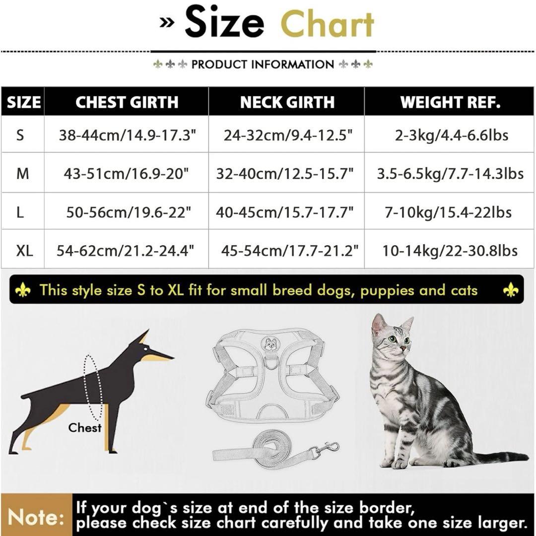 XL