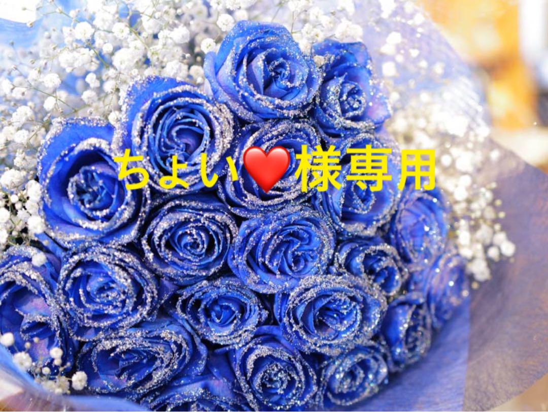 ちょい❤️様専用