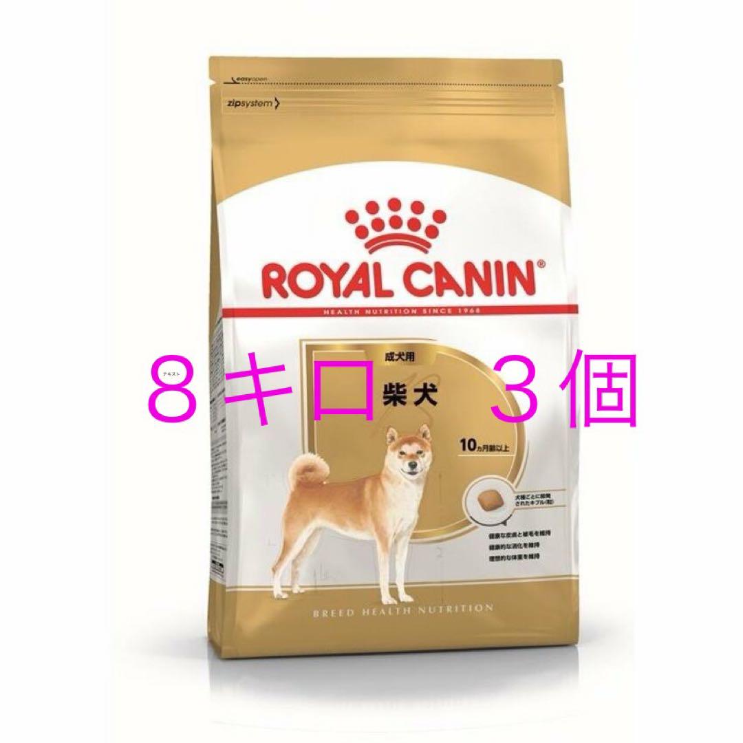 ロイヤルカナン　柴犬　成犬　８キロ３個