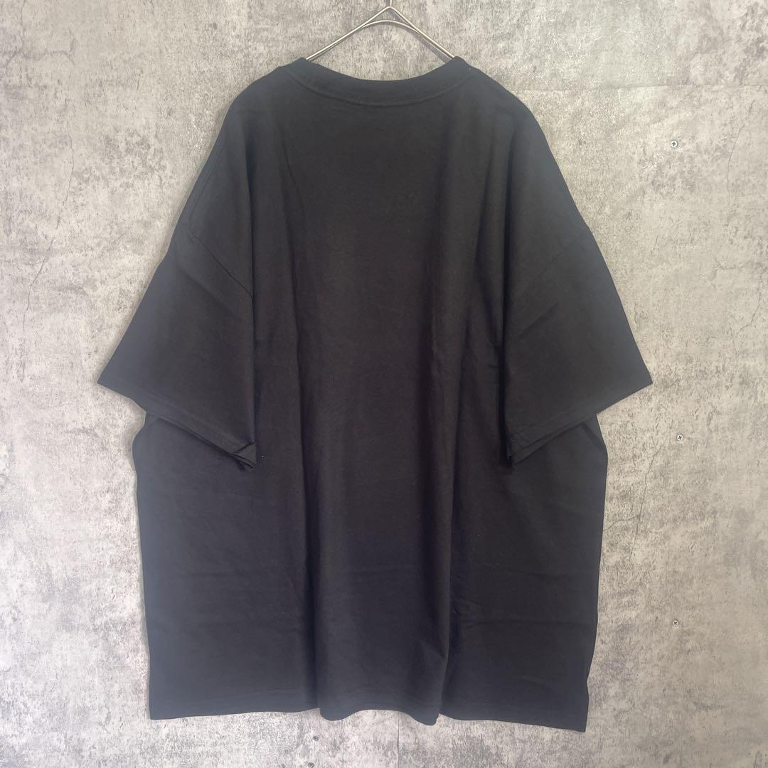 Hanes ヘインズ Tシャツ 半袖 インナー 無地 メンズ ブラック XL