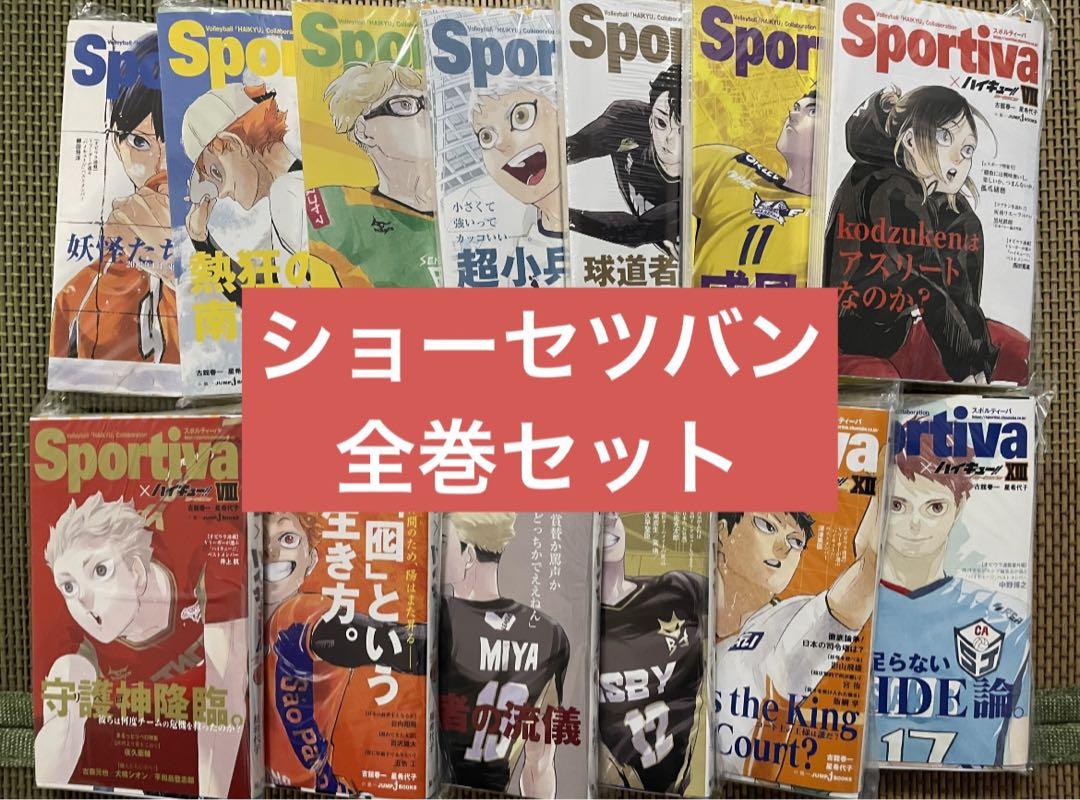 ショーセツバン　ハイキュー　全巻セット