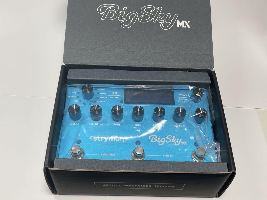 sleepy ☆　美品 Strymon BigSky MX リバーブ