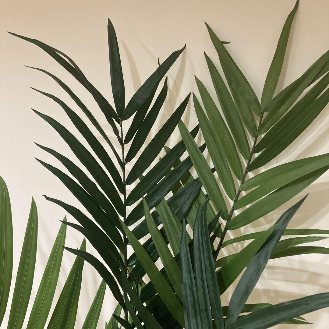 引き取り限定　福岡　人工観葉植物 約190cm 緑