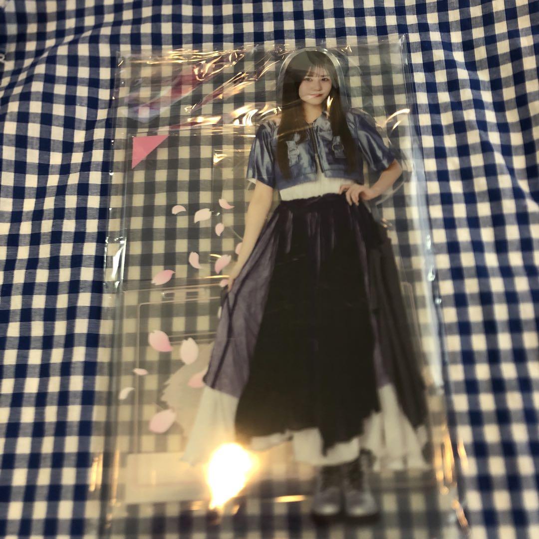 向井純葉 ペンライトスタンド