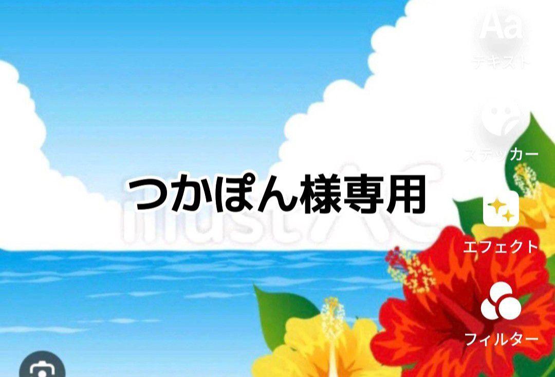 つかぽん様専用