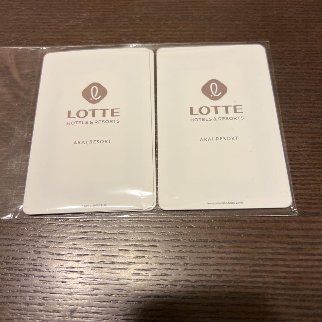 再値下げ リフト券2枚 ロッテアライリゾートスキー場