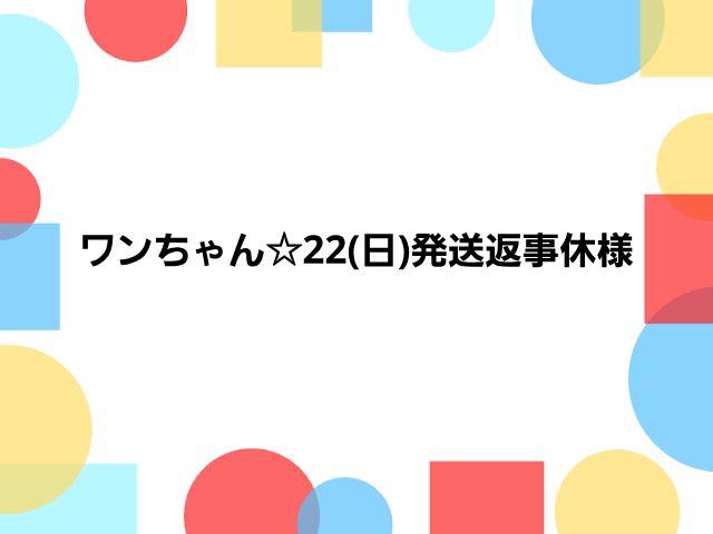 ワンちゃん☆22(日)発送返事休様　オーダーご依頼分
