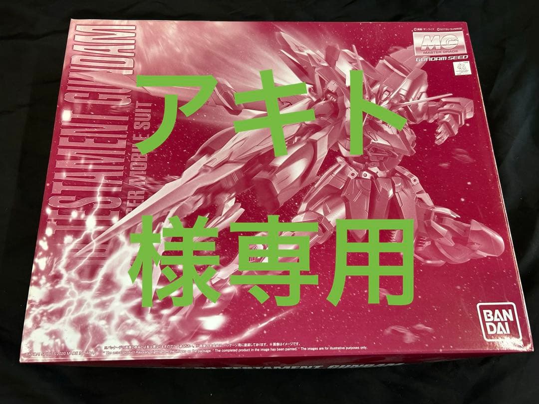 MG 1/100 テスタメントガンダム