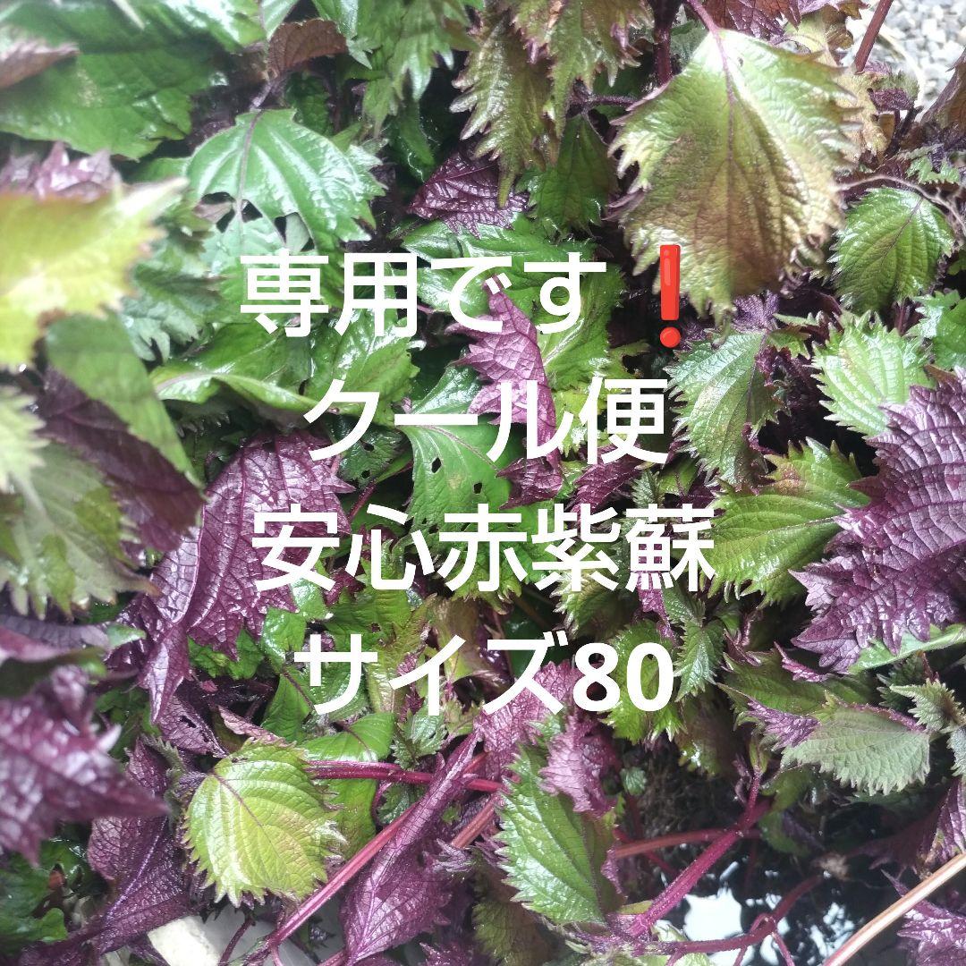 安心赤紫蘇サイズ80、クール便 専用です❗ - メルカリ