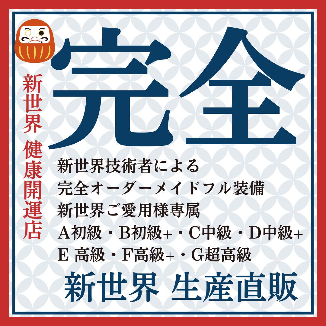 2024新世界 人毛100% ウィッグ フルウィッグ シルクスキン 医療