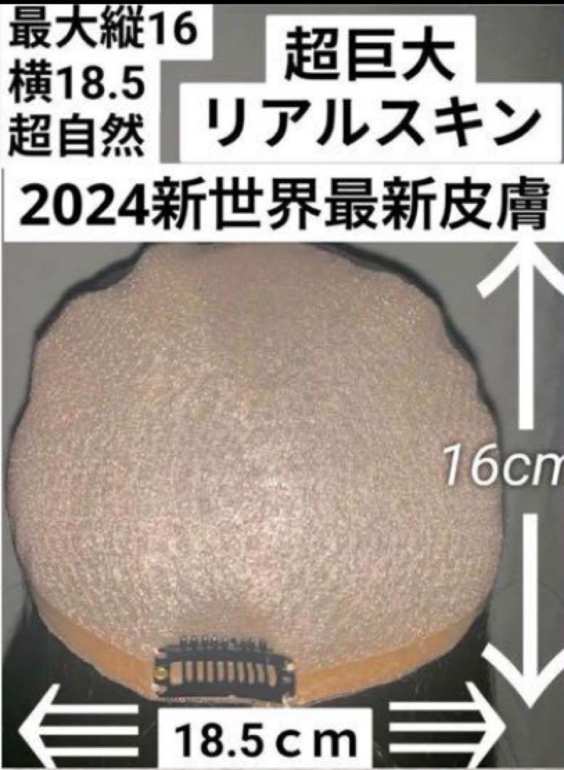 2024新世界　人毛100% ウィッグ　フルウィッグ　シルクスキン　医療ウィッグ 2024新世界 人毛100% ウィッグ フルウィッグ シルクスキン 医療