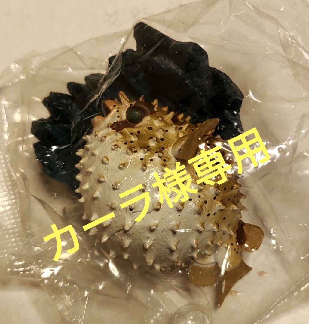 Amazon.co.jp: 原色海水魚図鑑Ⅰ ハリセンボン(彩色台座) : おもちゃ