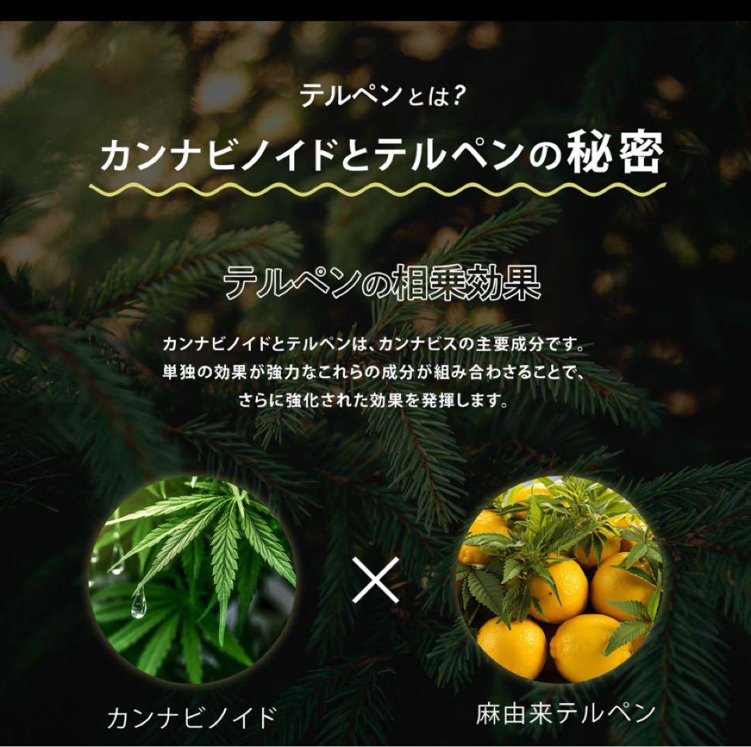 【年末セール】TH×E 1ml CBN CBG CBD CBP PHC
