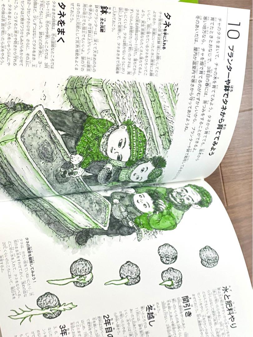 【送料0円】 チャの絵本 そだててあそぼう メルカリ - 日本茶 緑茶 農文協 44 絵本・児童書