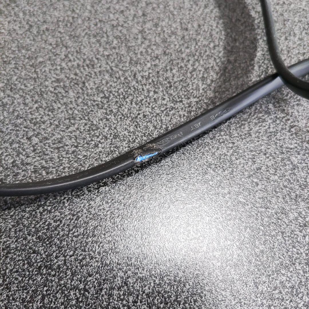 本体