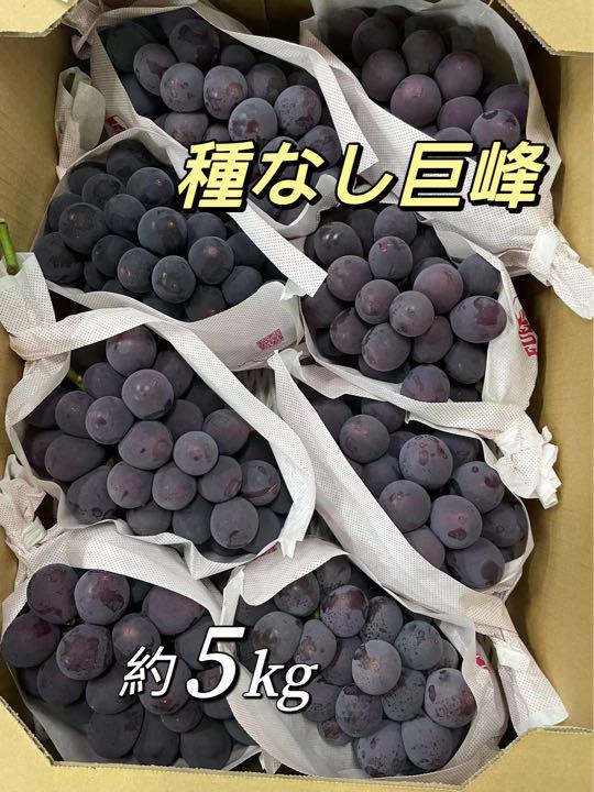 種無し巨峰　約5kg 7房〜11房　ぶどう