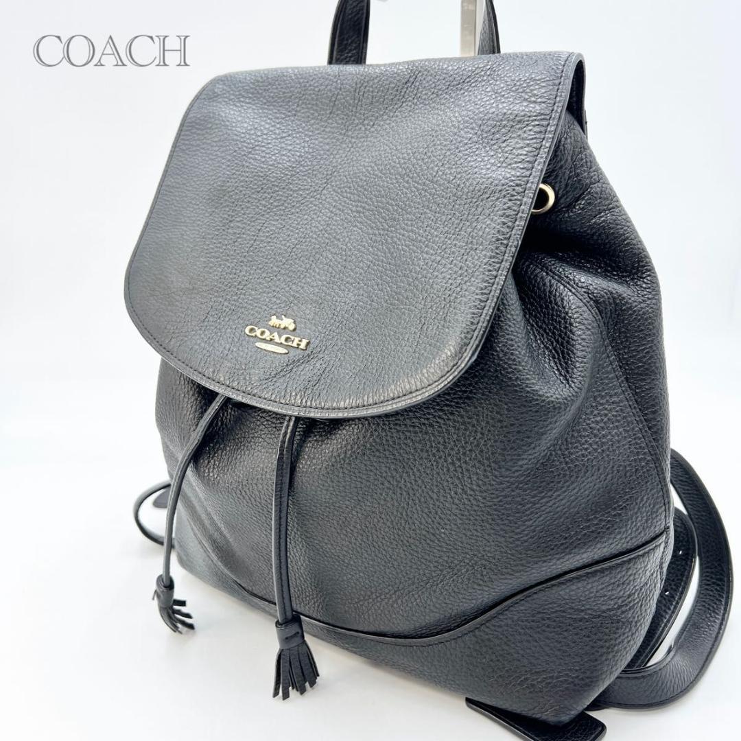 COACH チェーン付き レザーリュック ブラック シボ革 バックパック