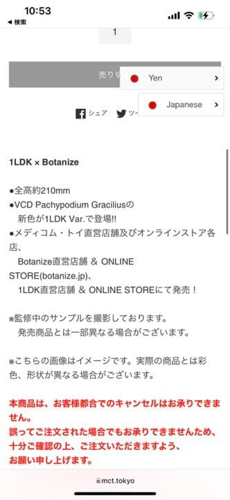 1LDK × Botanize Pachypodium Gracilius | www.cultuurtuinhaarlem.nl