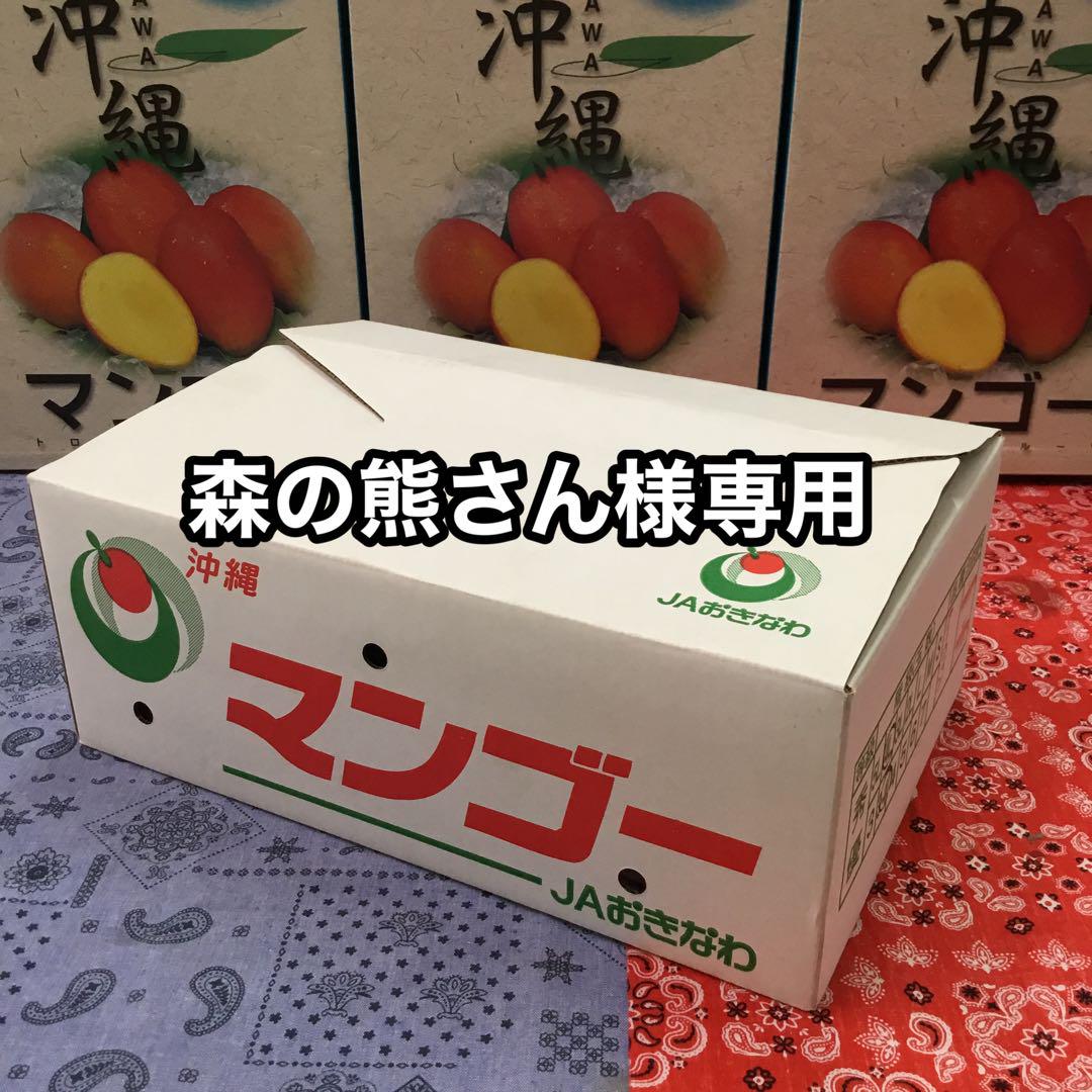 沖縄産★フルーツセット　森の熊さん様専用