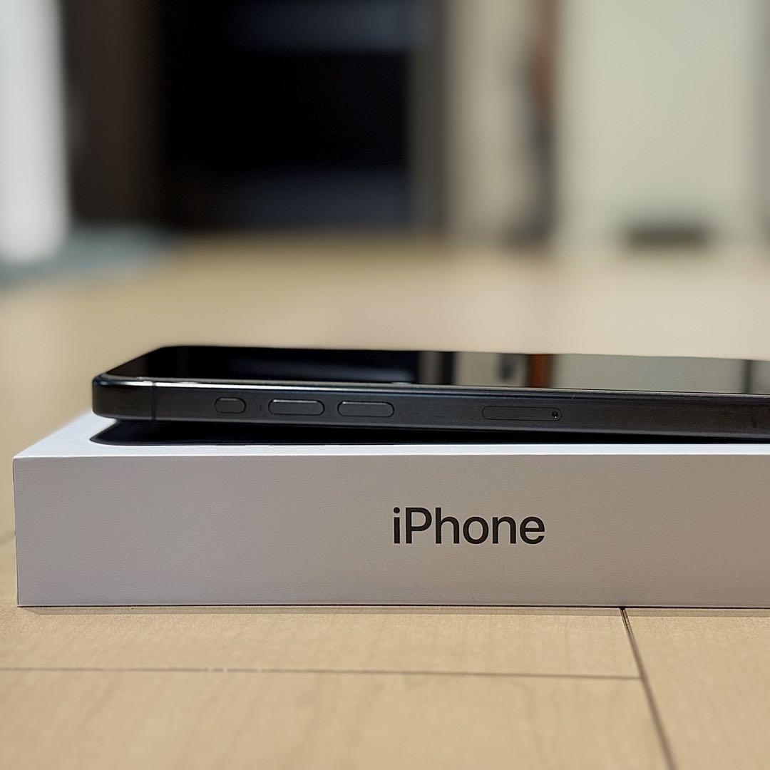 [ランク:A]Apple iPhone 15 Pro Max ブラックチタニウム