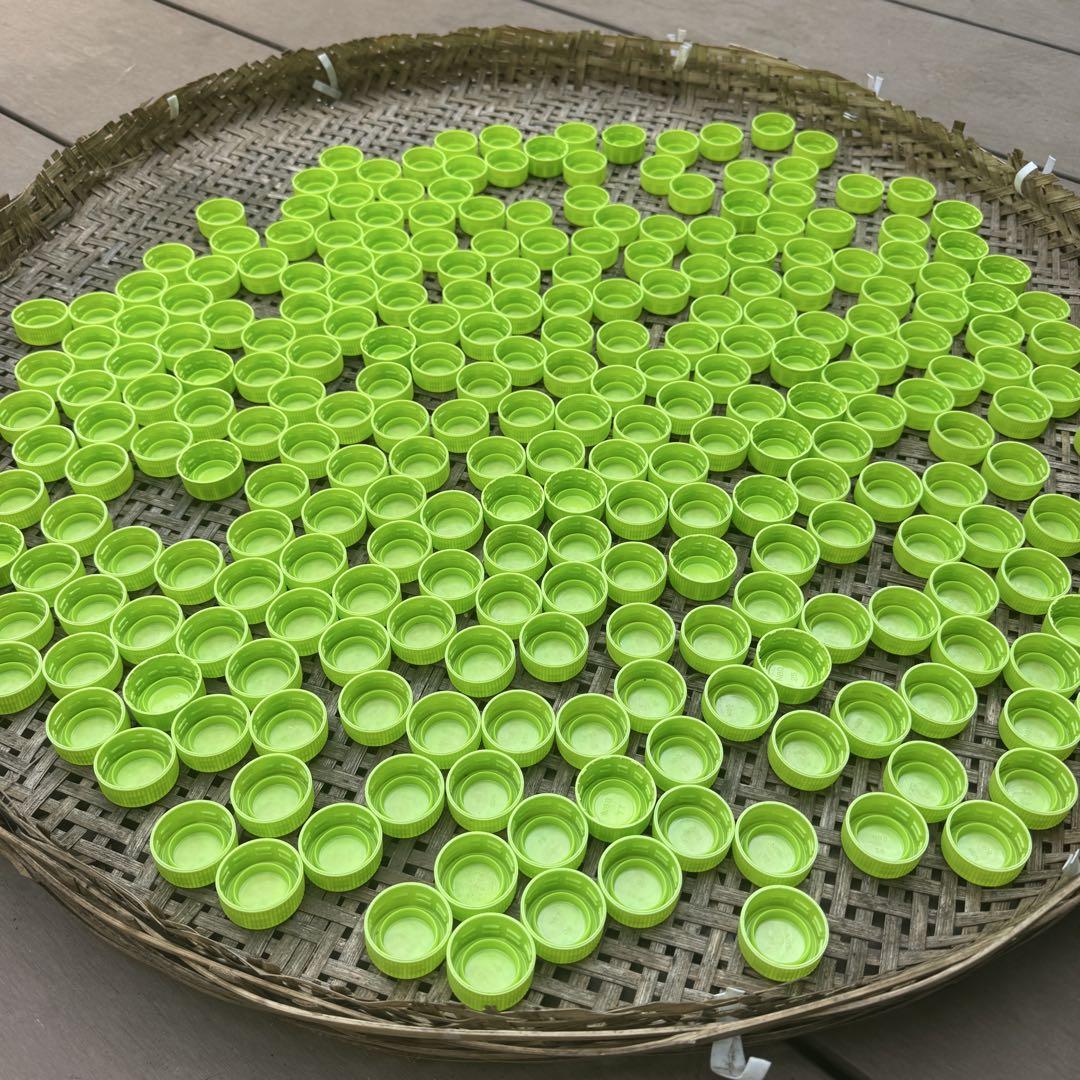 ペットボトル(お〜いお茶)の蓋 ペットボトル フタ 蓋 お〜いお茶 ハンドメイド D.I.Y. 120個