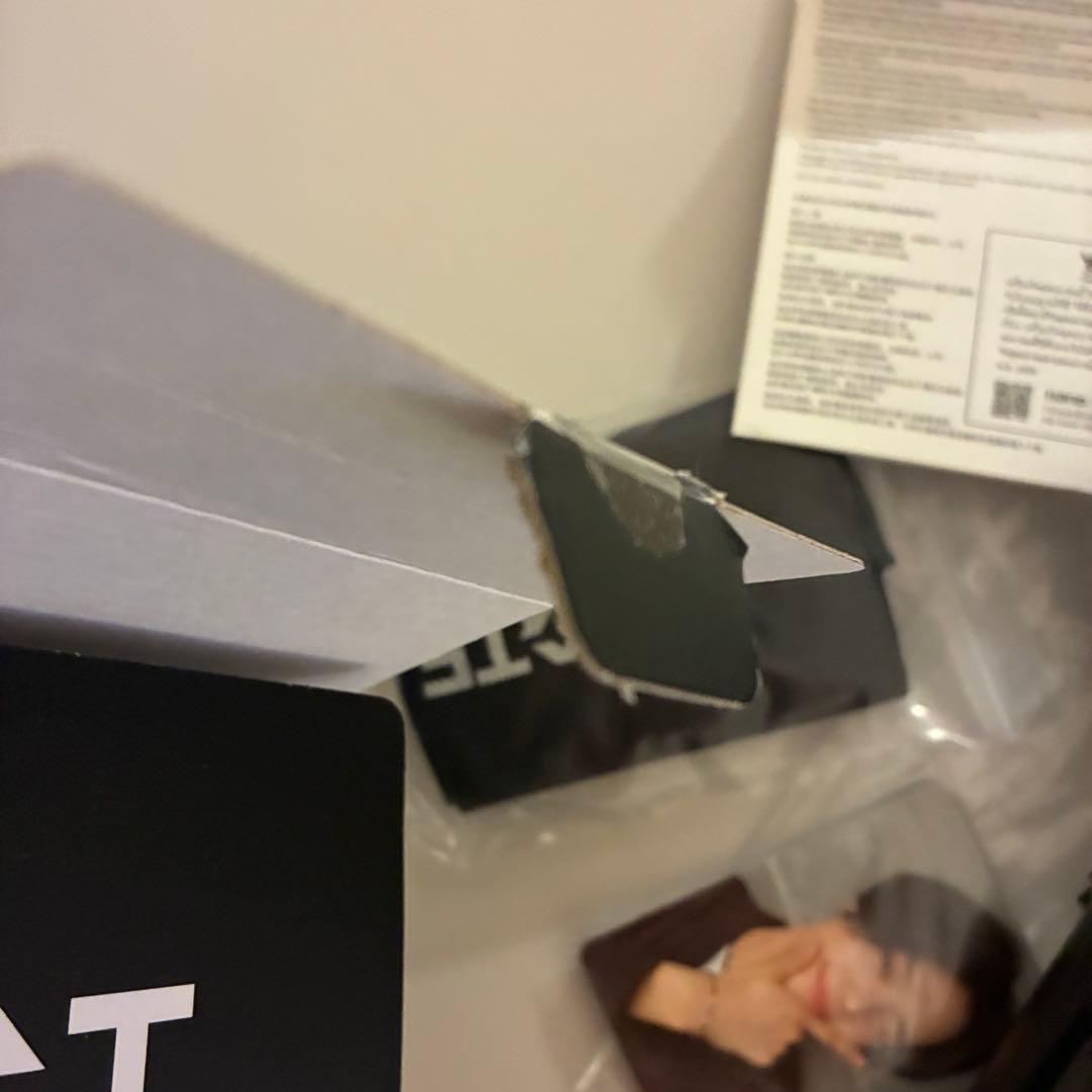 &TEAM ペンライト