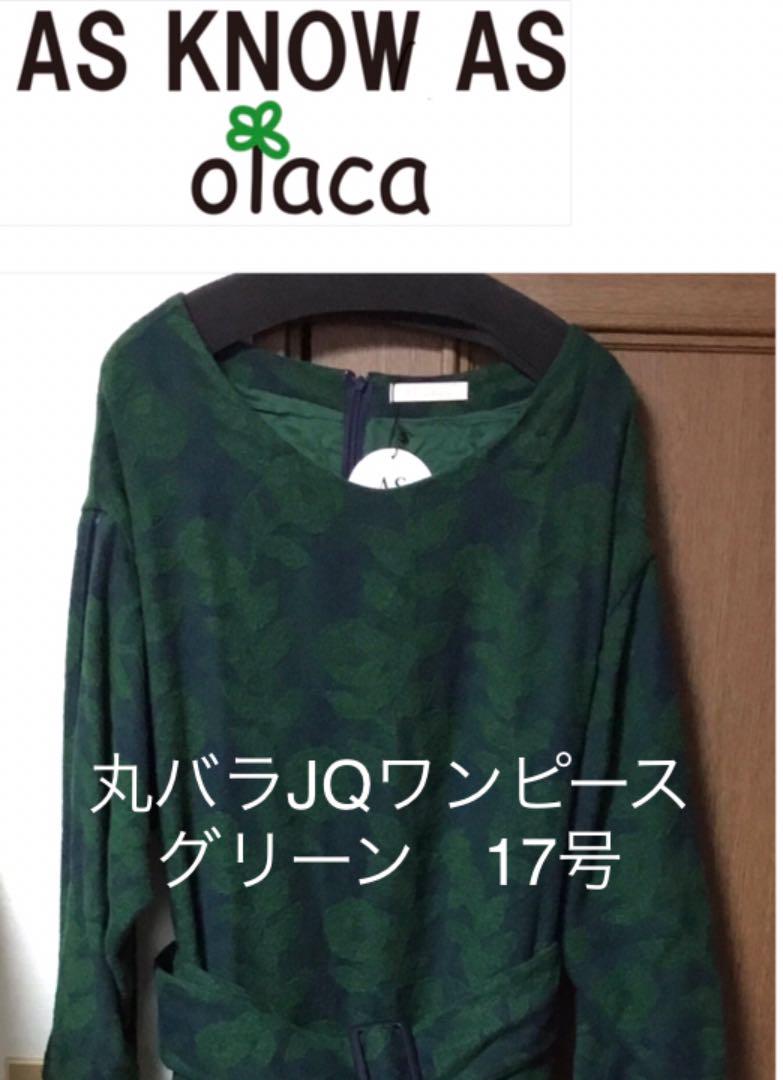 アズノウアズオオラカ 丸バラjqワンピース グリーン 17号 メルカリ