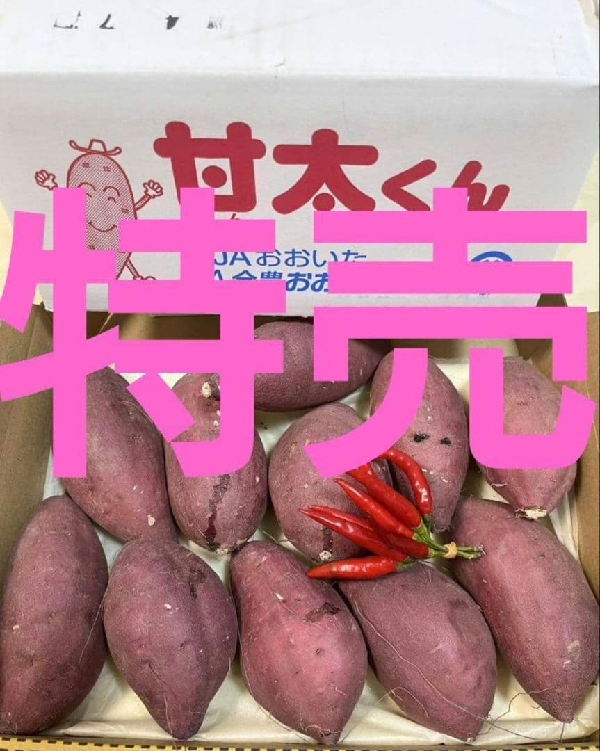 特売です　甘太くん1300gほど