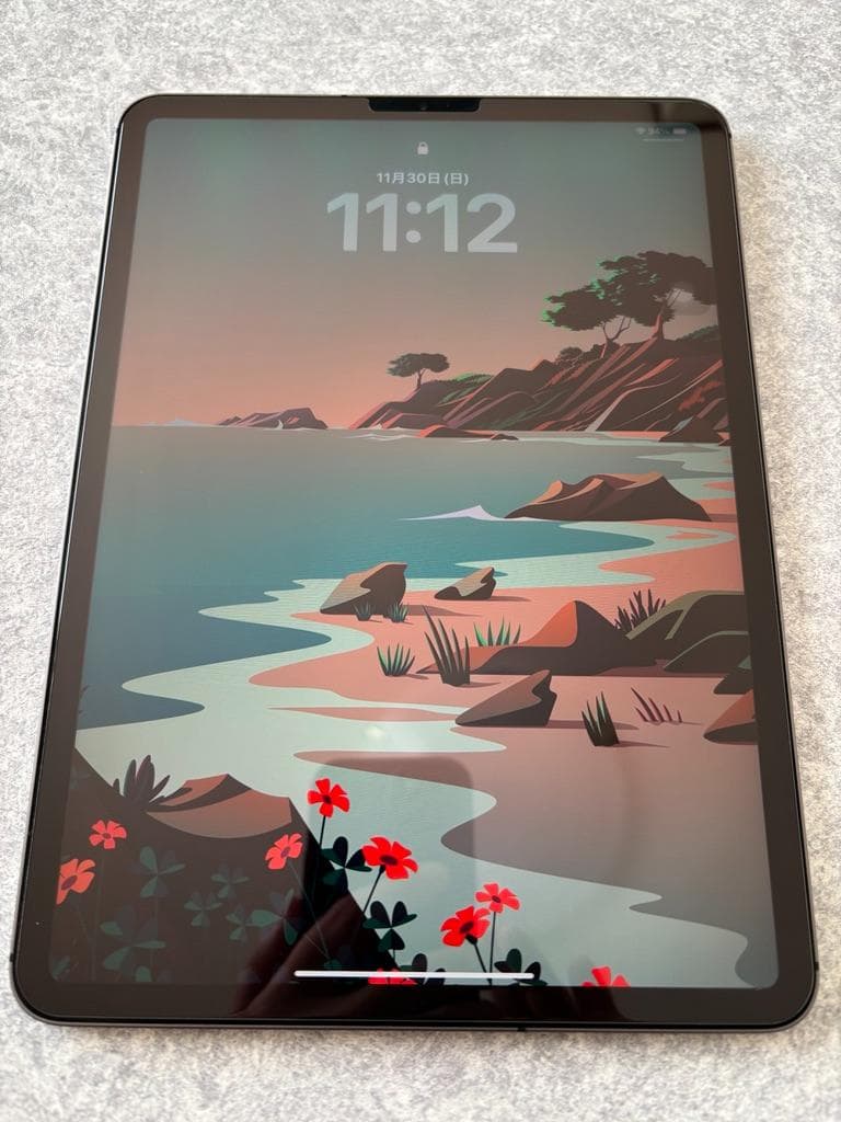 ipad pro 11インチ 第2世代（2020）128G Wifi+セルラー