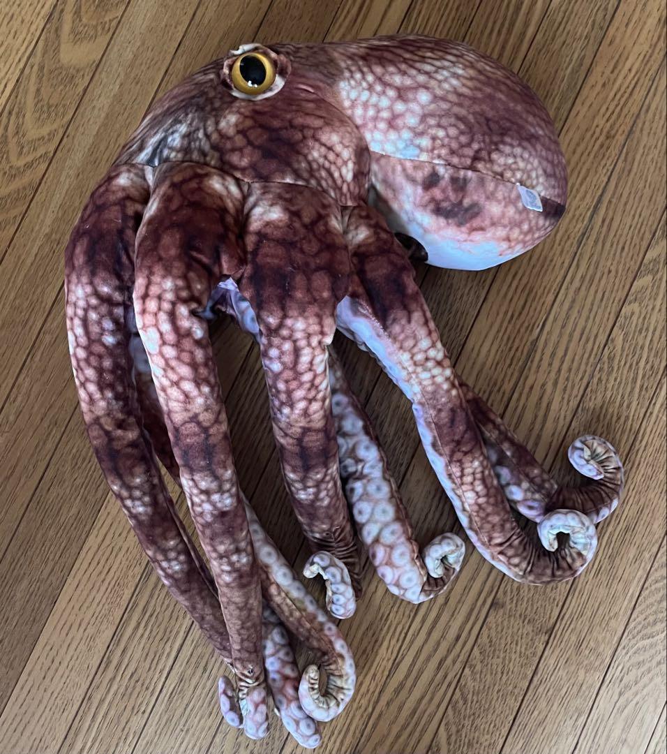 【激レア商品】マダコ　さかなくんプロデュース