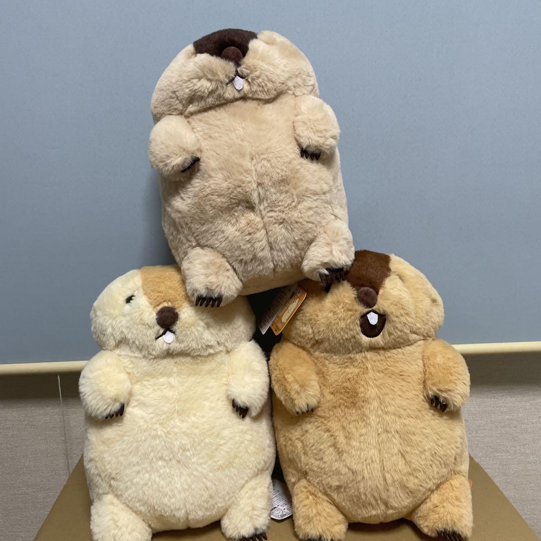 マーモットのもっとっと 3種セット アー太郎 はまもと もっとっと マーモットのもっとっと JB アー太郎 はまもと もっとっと