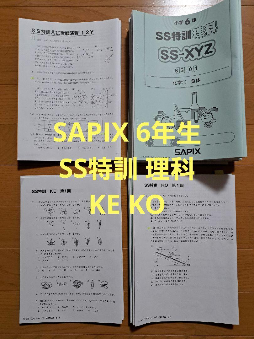 福袋 2024受験】SAPIX 語学 - プリント KE KO 全14回 理科 SS特訓 6年 語学・辞書・学習参考書