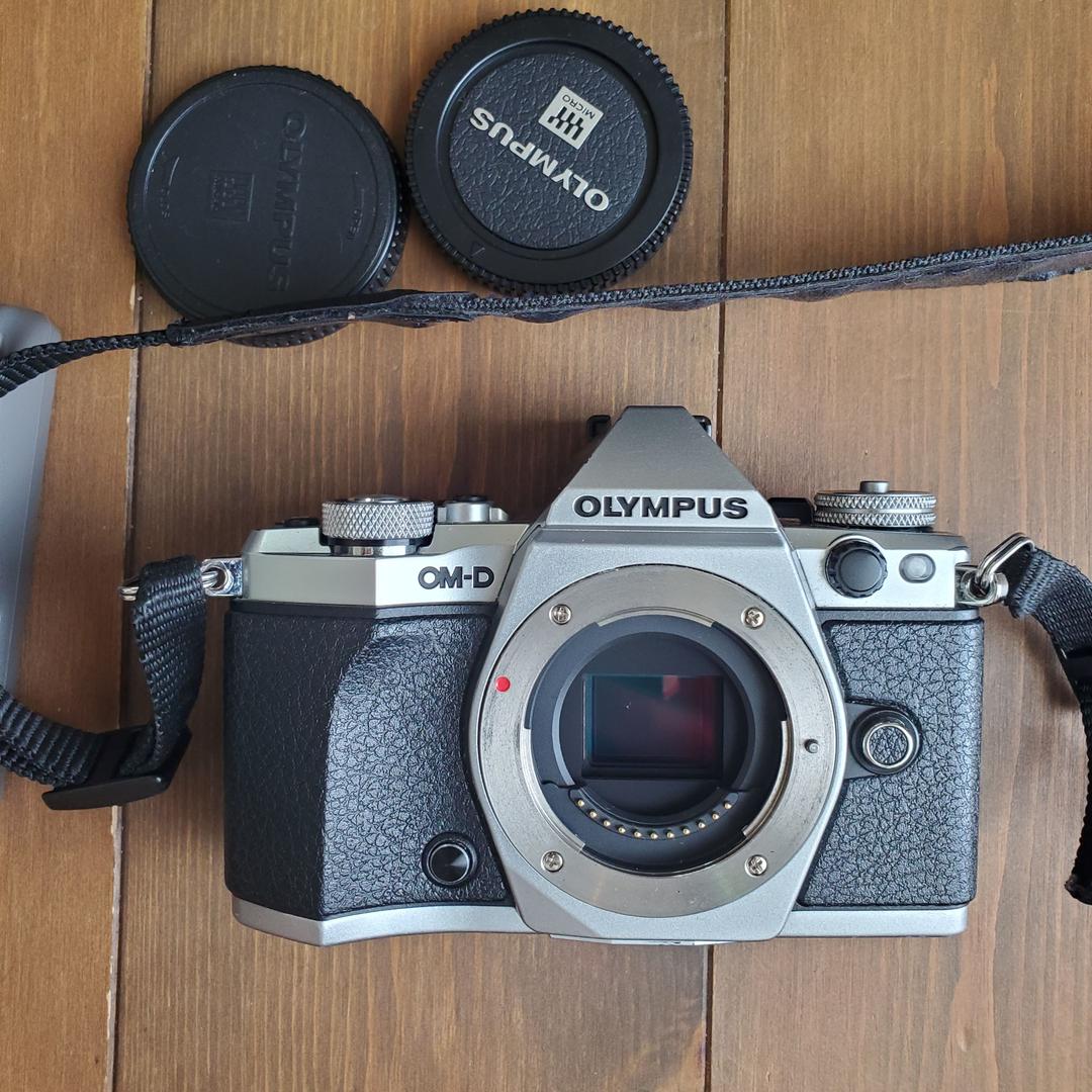 ソニー SONY α5000 ミラーレス カメラ 望遠レンズ付き 領収書発行 Amazon | SONY ミラーレス一眼 α5000 パワーズームレンズキット
