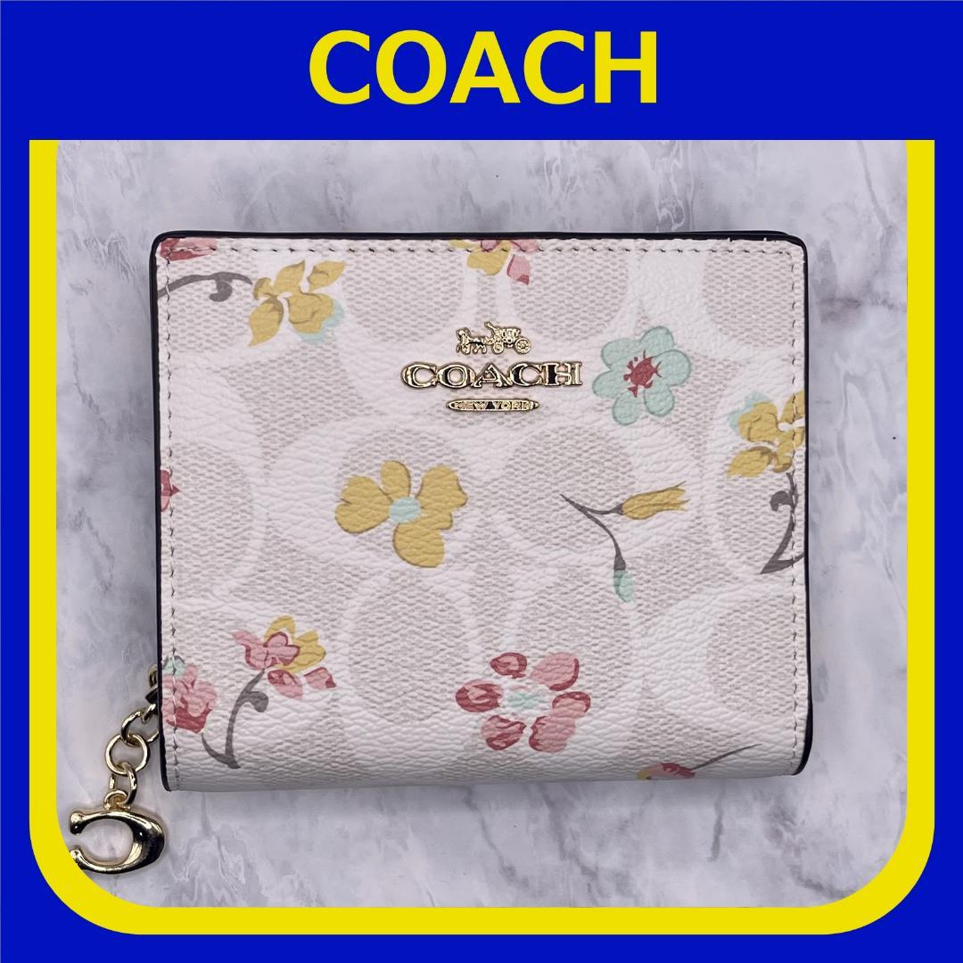 新作モデル COACH コーチ チョークマルチシグネチャーミスティカル