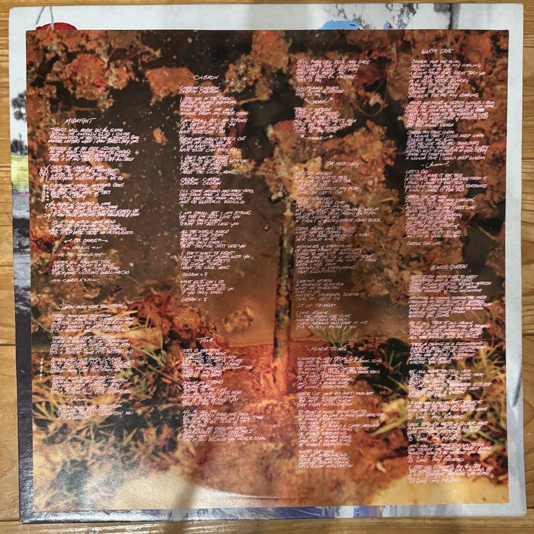 Red Hot Chili Peppers /By the Way レコード