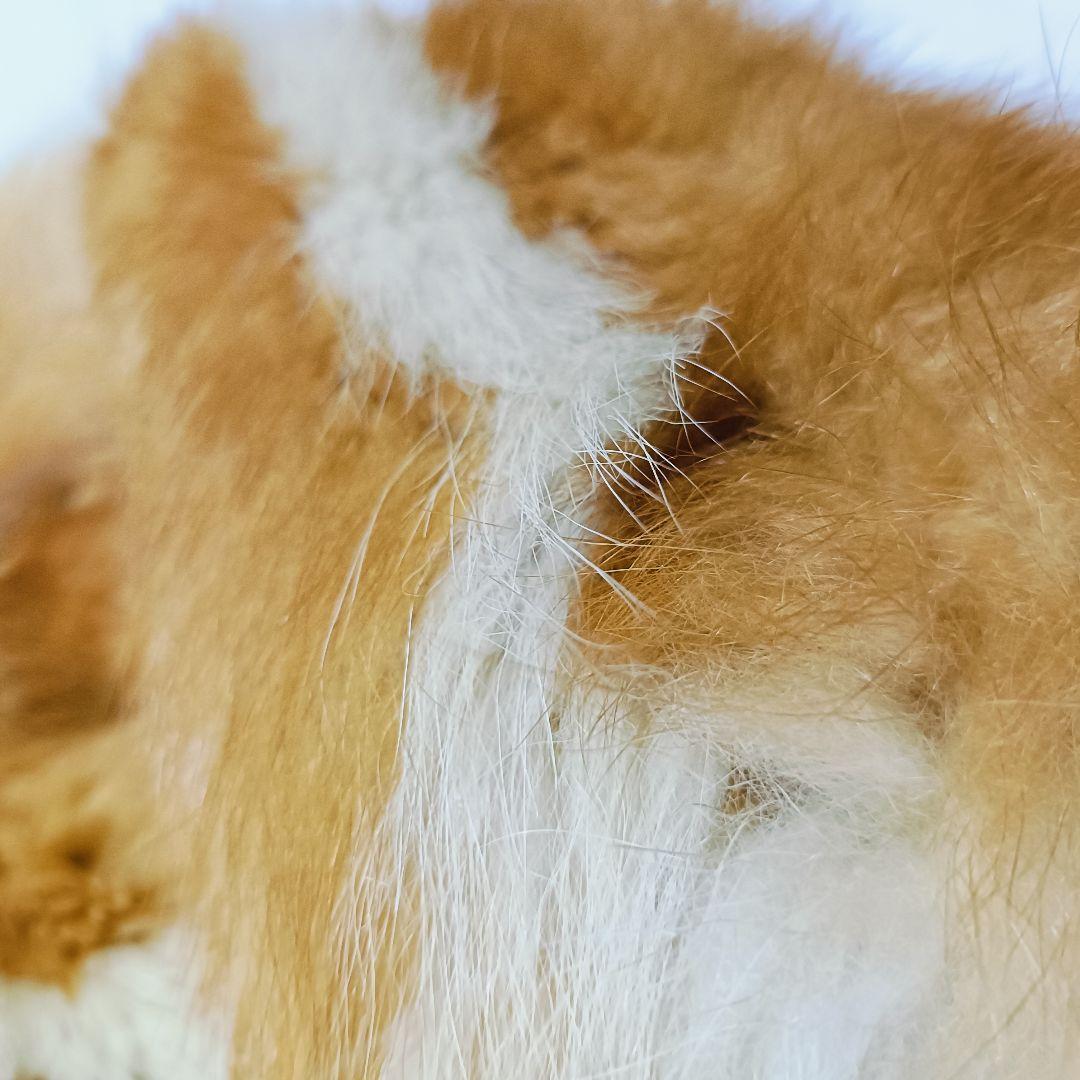 茶色　スカンク 毛皮 コート　リアルファー　ファーコート　フォックス　ミンク