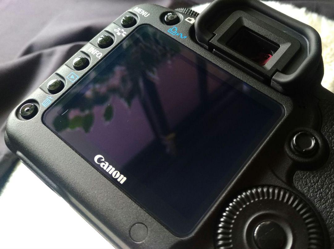 Canon EOS 5D Mark II　レンズ付き　美品
