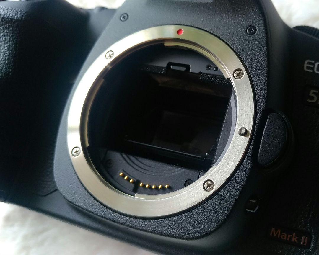 Canon EOS 5D Mark II　レンズ付き　美品