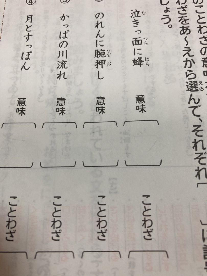 1年分セット