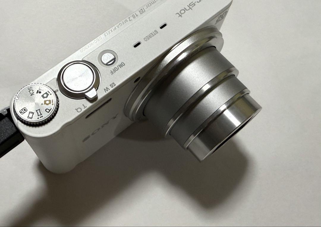 DSC-WX300