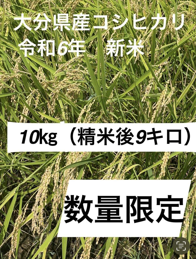令和6年新米　大分県産コシヒカリお米10㎏キロ（精米後9キロ）