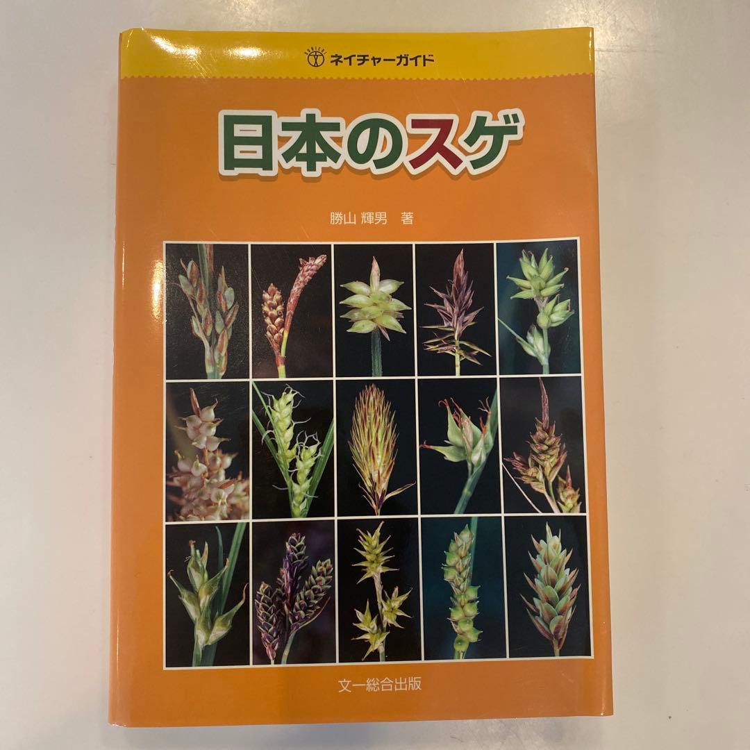 日本のスゲ 勝山輝男著