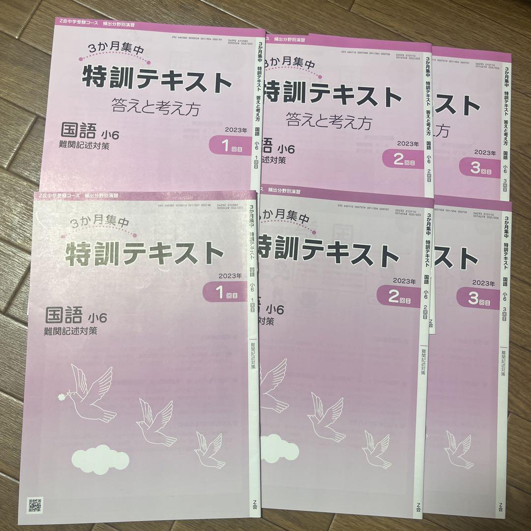 最も完璧な 中学受験 Z会 3ヶ月集中特訓テキスト メルカリ - 難関記述対策 語学・辞書・学習参考書