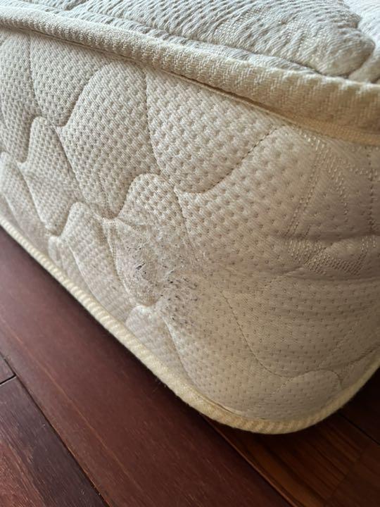 人気通販 さかさん専用 送料込み sealy シーリー セミダブル マットレス yXbL1-m37809234136 全国無料定番