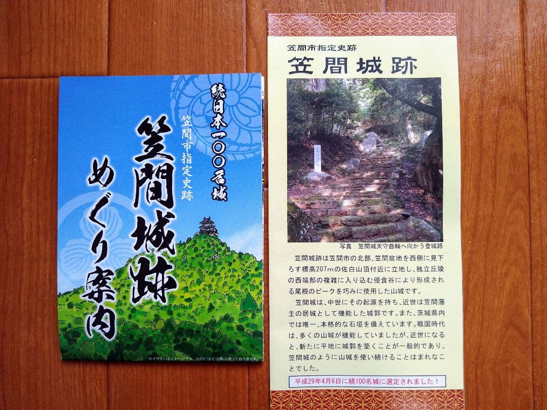 メーカー公式ショップ】 ⭐ほぼ未使用 綺麗 ジェフベック japan tour