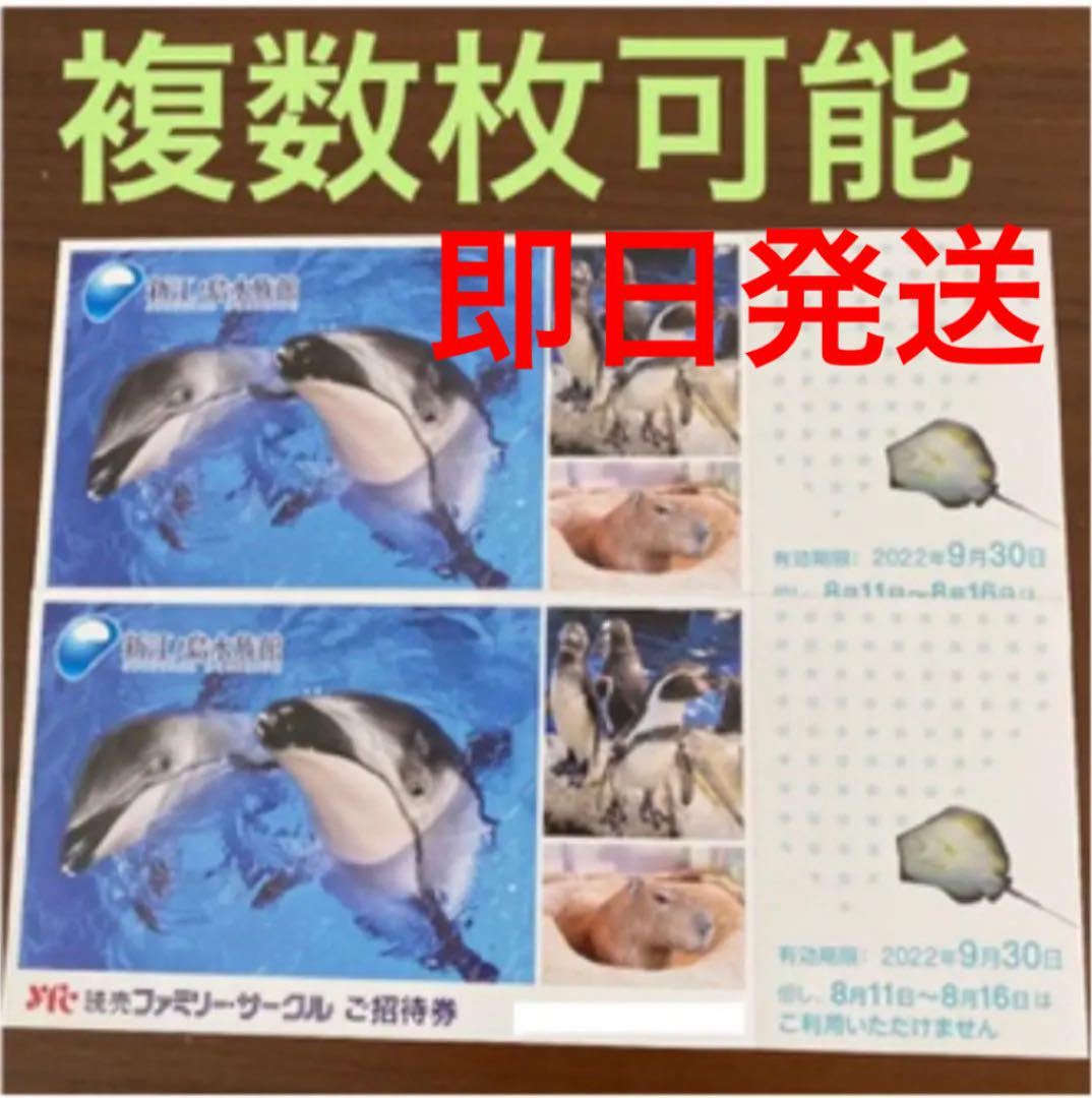 新江ノ島水族館 チケット 招待券 2枚 えのすい 無料 - メルカリ 新江ノ島水族館 チケット 招待券 2枚 えのすい 無料 - メルカリ
