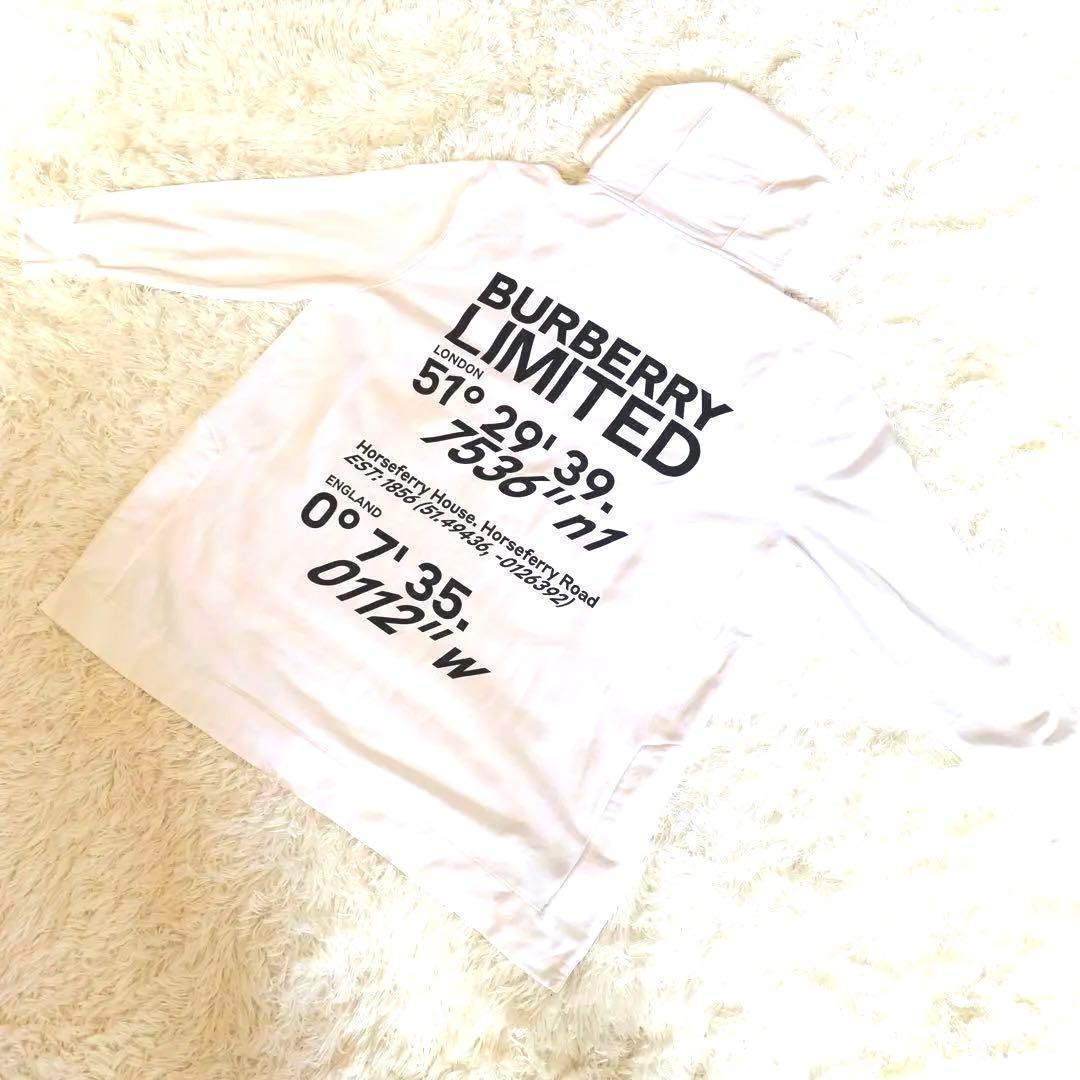 Burberryホースフェリー ロゴ パーカー - 通販 - guianegro.com.br