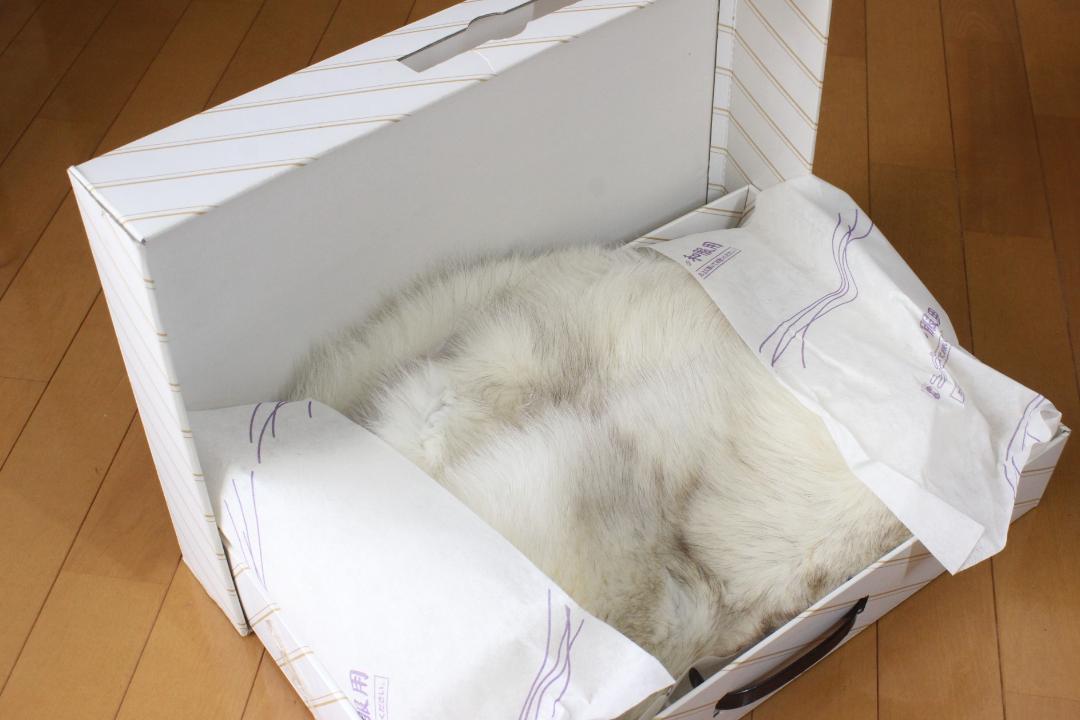 箱付き【新品同様】サガフォックス SAGA FOX ショール マフラー 襟巻き