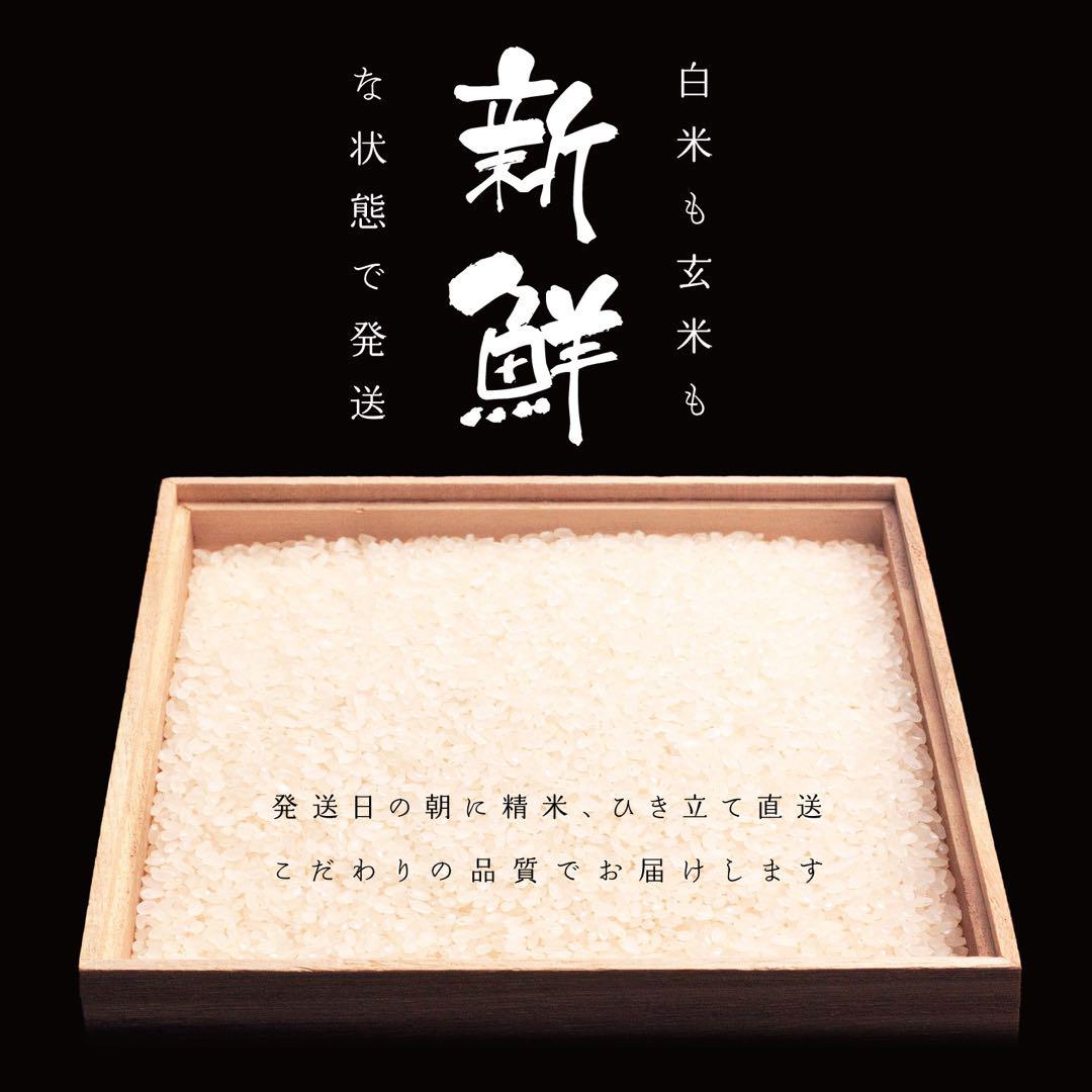 会津産コシヒカリ20kg ⟡2枚目の画像を参考にしてください⟡