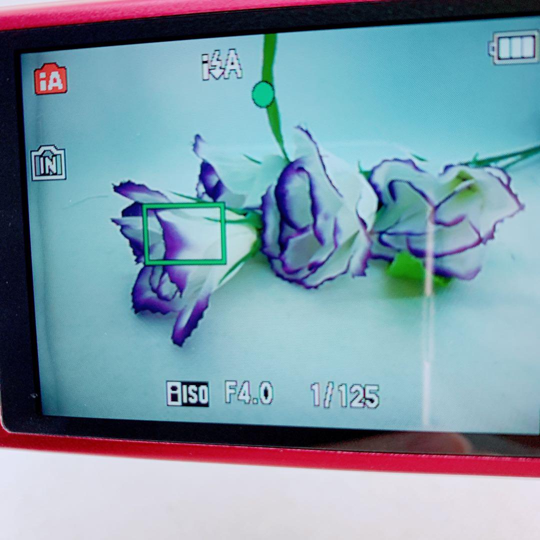 Panasonic デジタルカメラ　LUMIX DMC-TZ20 C0116